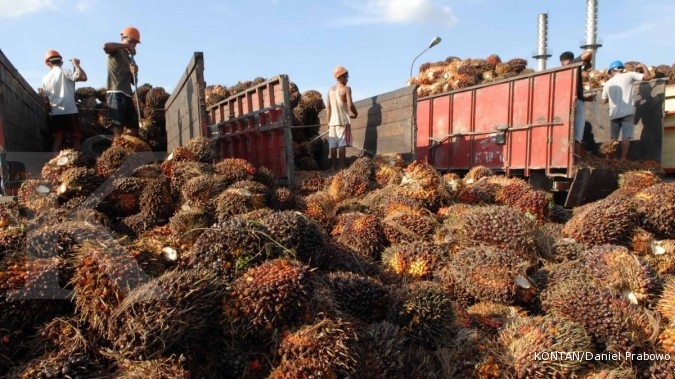 Harga CPO Bangkit Untuk Kali Pertama Dalam 5 hari